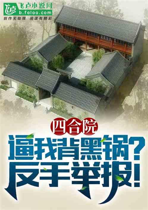 四合院：逼我背黑锅？直接举报！最新章节列表四合院：逼我背黑锅？直接举报！全文阅读