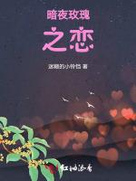 暗夜玫瑰之恋最新章节列表暗夜玫瑰之恋全文阅读