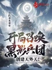 开局召唤黑影兵团，创建天外天！最新章节列表开局召唤黑影兵团，创建天外天！全文阅读