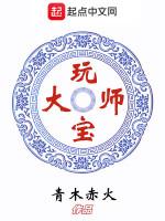 玩宝大师最新章节列表玩宝大师全文阅读