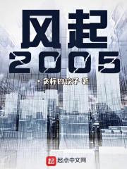 风起2005最新章节列表风起2005全文阅读