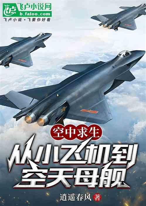 空中求生：从小飞机到空天母舰最新章节列表空中求生：从小飞机到空天母舰全文阅读