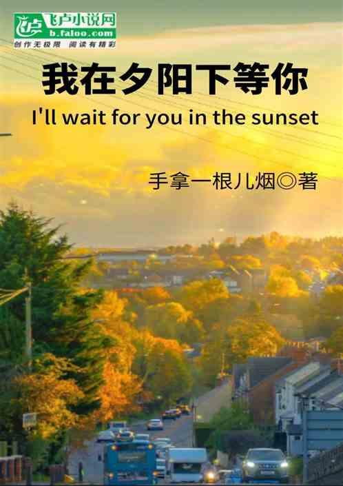 我在夕阳下等你最新章节列表我在夕阳下等你全文阅读