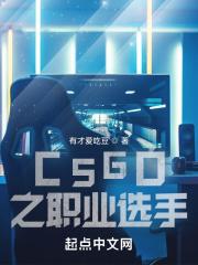 CSGO之职业选手最新章节列表CSGO之职业选手全文阅读