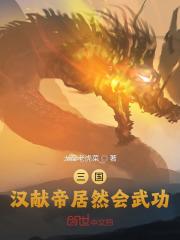 三国：汉献帝居然会武功最新章节列表三国：汉献帝居然会武功全文阅读