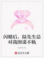 闪婚后，陆先生总对我图谋不轨最新章节列表闪婚后，陆先生总对我图谋不轨全文阅读