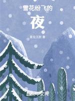 雪花纷飞的夜最新章节列表雪花纷飞的夜全文阅读