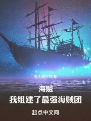 海贼：我组建了最强海贼团最新章节列表海贼：我组建了最强海贼团全文阅读