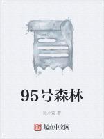 95号森林最新章节列表95号森林全文阅读